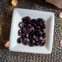 Load image into Gallery viewer, GARNET