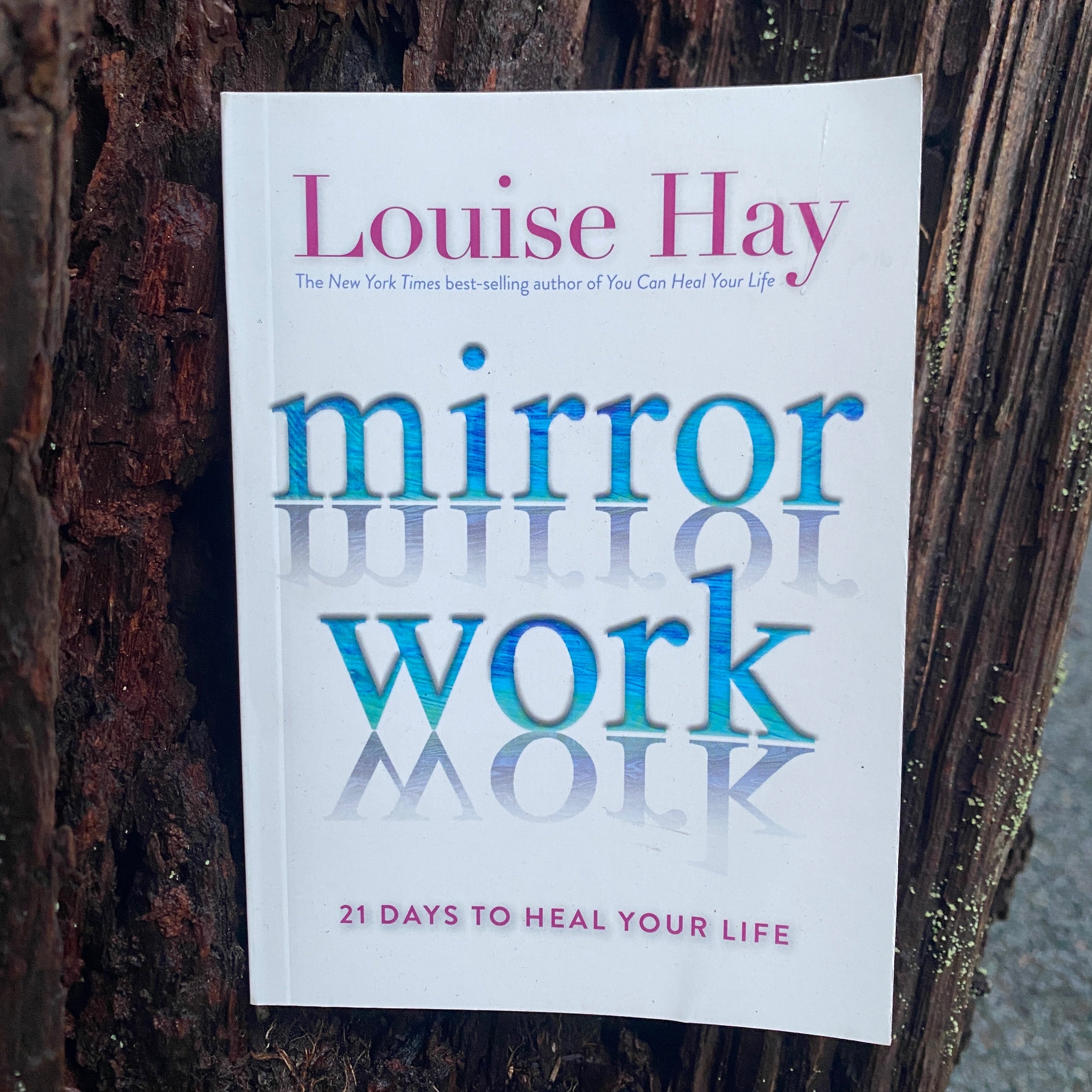 Mirror Work: 21 Days to Heal Your Life See more